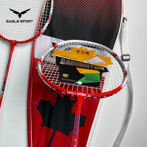 طقم مضارب الريشة (بادمنتون) FOX
FOX Badminton Racket Set