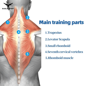 Professional Neck Training Harness for Strengthening Neck & Upper Back Muscles – LivePro
حزام تمارين الرقبة احترافي لتقوية عضلات الرقبة والجزء العلوي من الظهر – LivePro