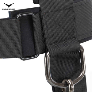 Professional Neck Training Harness for Strengthening Neck & Upper Back Muscles – LivePro
حزام تمارين الرقبة احترافي لتقوية عضلات الرقبة والجزء العلوي من الظهر – LivePro