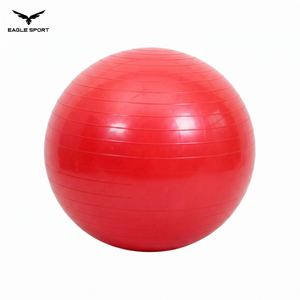 Professional Exercise & Yoga Ball with Pump – 65CM
كرة جيم ويوغا احترافية مع منفاخ – 65 سم