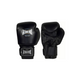 Boxing and Kickboxing Gloves | Eagle Sport Jordan