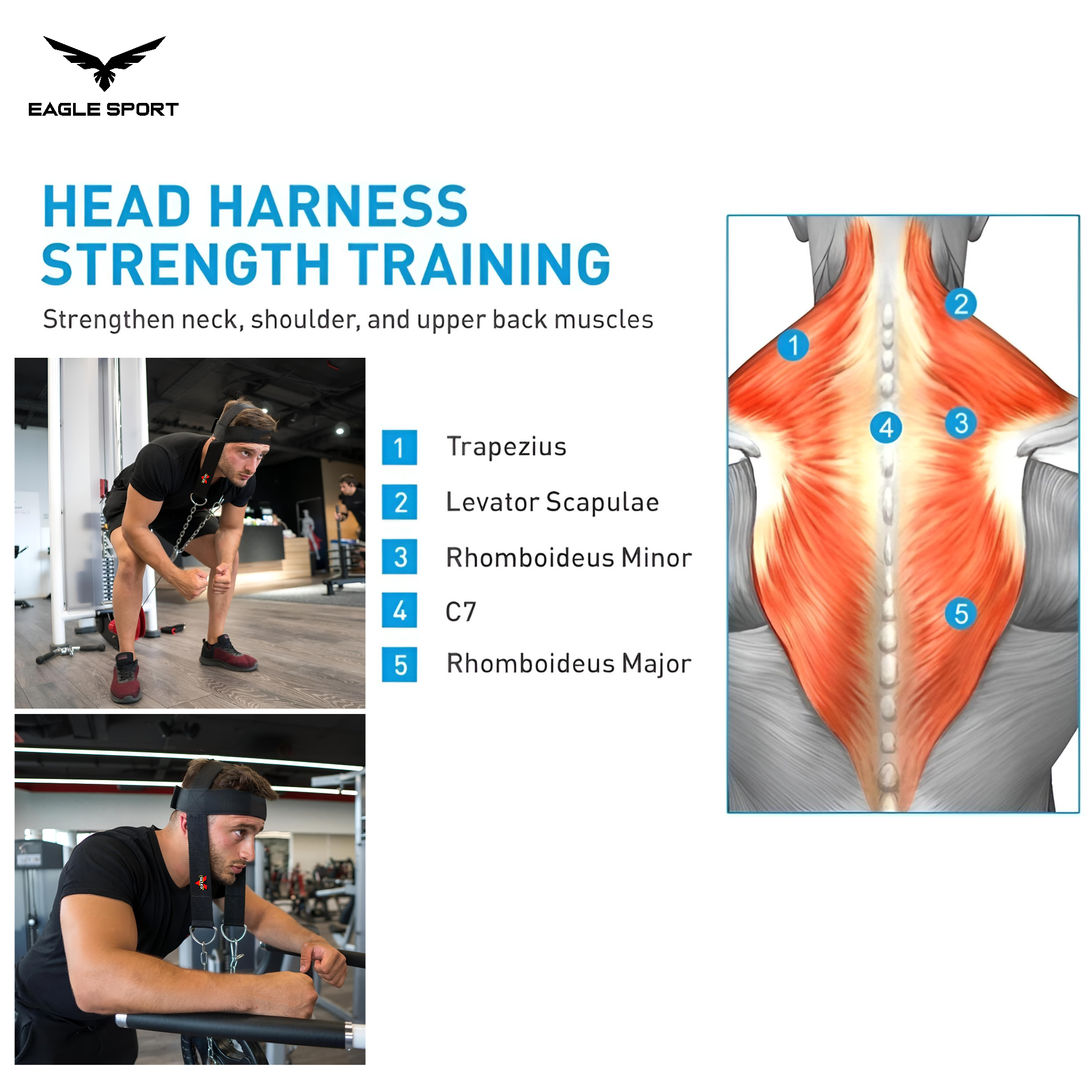 حزام رأس لرفع الأثقال – لتقوية عضلات الرقبة والجزء العلوي من الظهر | VALEO
Head Weight Lifting Harness – Neck & Upper Back Strength Training | VALEO