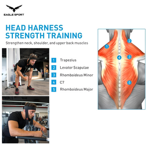 حزام رأس لرفع الأثقال – لتقوية عضلات الرقبة والجزء العلوي من الظهر | VALEO
Head Weight Lifting Harness – Neck & Upper Back Strength Training | VALEO