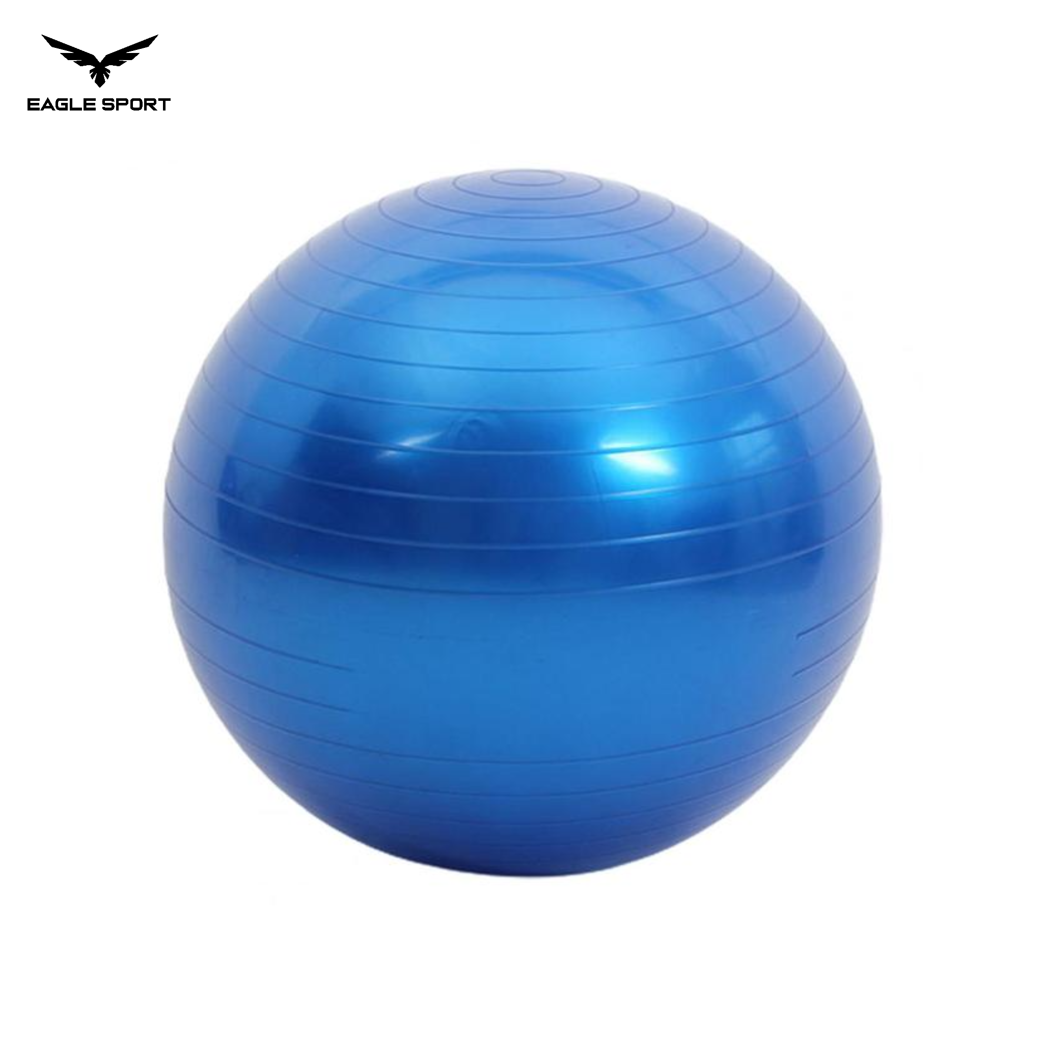 Professional Exercise & Yoga Ball with Pump – 75CM
كرة جيم ويوغا احترافية مع منفاخ – 75 سم