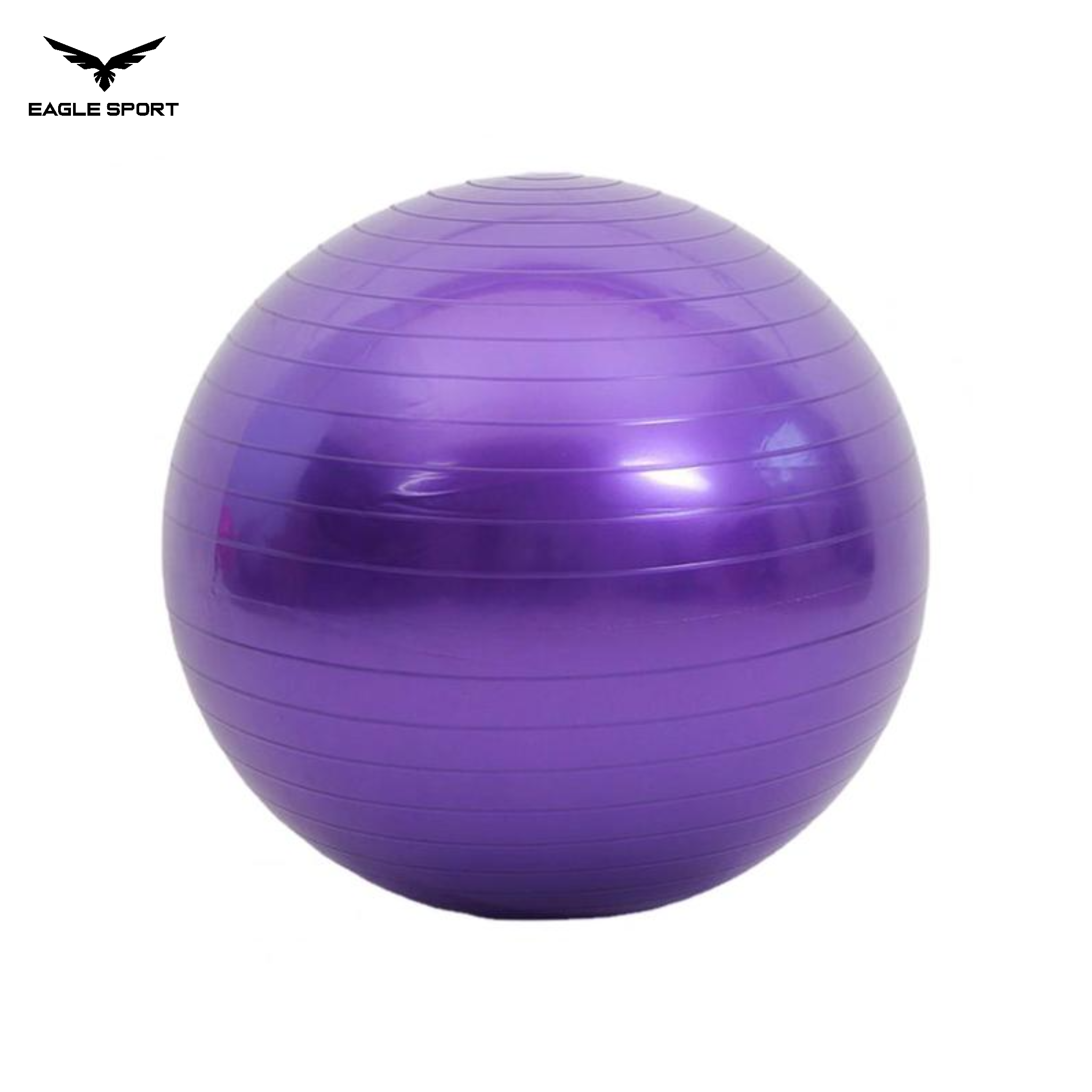 Professional Exercise & Yoga Ball with Pump – 65CM
كرة جيم ويوغا احترافية مع منفاخ – 65 سم