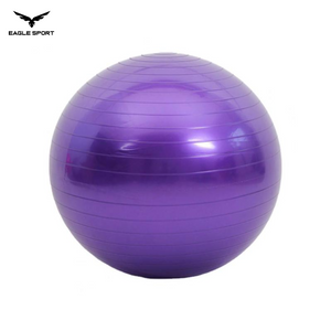 Professional Exercise & Yoga Ball with Pump – 65CM
كرة جيم ويوغا احترافية مع منفاخ – 65 سم