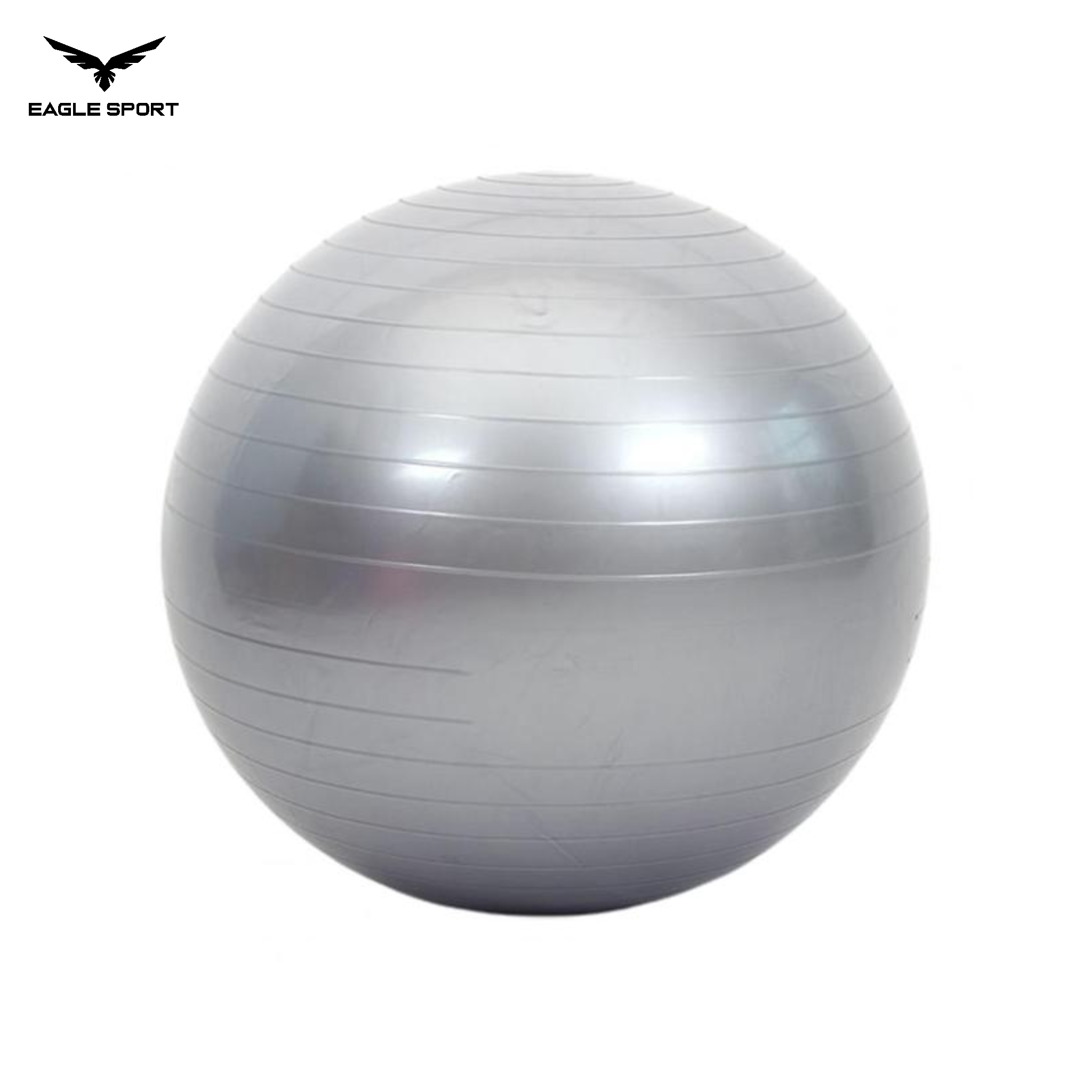 Professional Exercise & Yoga Ball with Pump – 65CM
كرة جيم ويوغا احترافية مع منفاخ – 65 سم