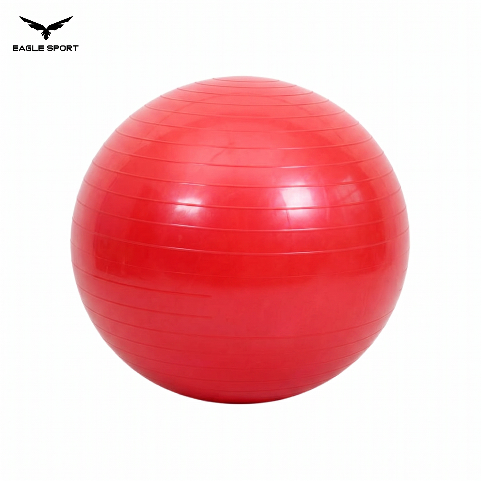 Professional Exercise & Yoga Ball with Pump – 65CM
كرة جيم ويوغا احترافية مع منفاخ – 65 سم